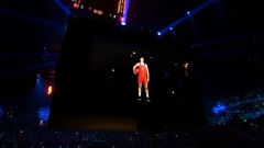 Virtualni lik Dražena Petrovića