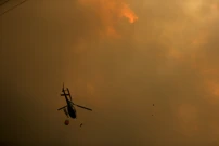 Šumski požari bjesne širom Portugala, Foto: Rodrigo Antunes/REUTERS
