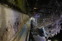 poledica, Foto: L.G./HRT