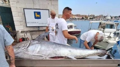 Tuna fest Rovinj