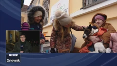 S mađarsko-ukrajinske granice javila se Maja Sever