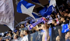 Navijači Zadra, Foto: Šime Zelić/PIXSELL