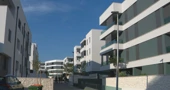 Zadar