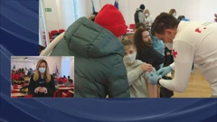 Javljanje u Dnevnik u podne