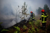 Požari u Francuskoj, Foto: Sarah Meyssonnier/REUTERS