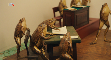 Froggyland 