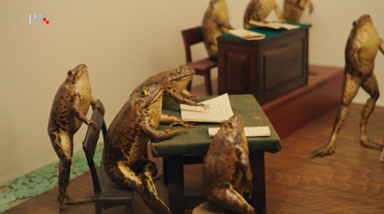 Froggyland 