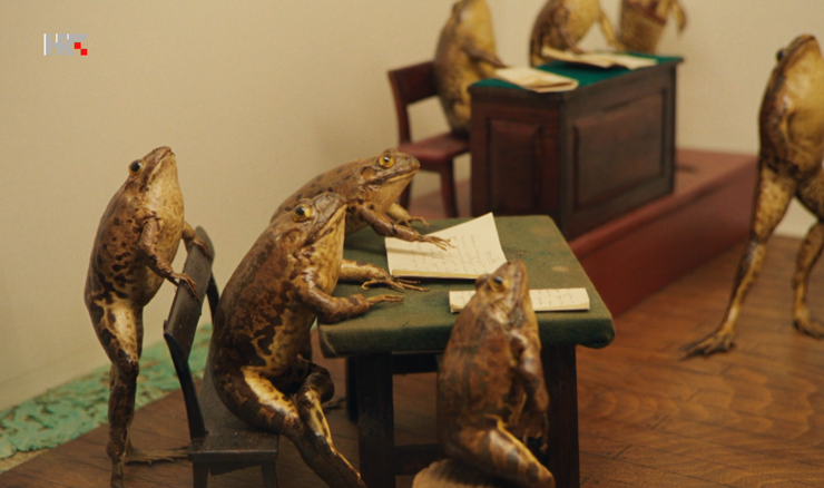Froggyland 