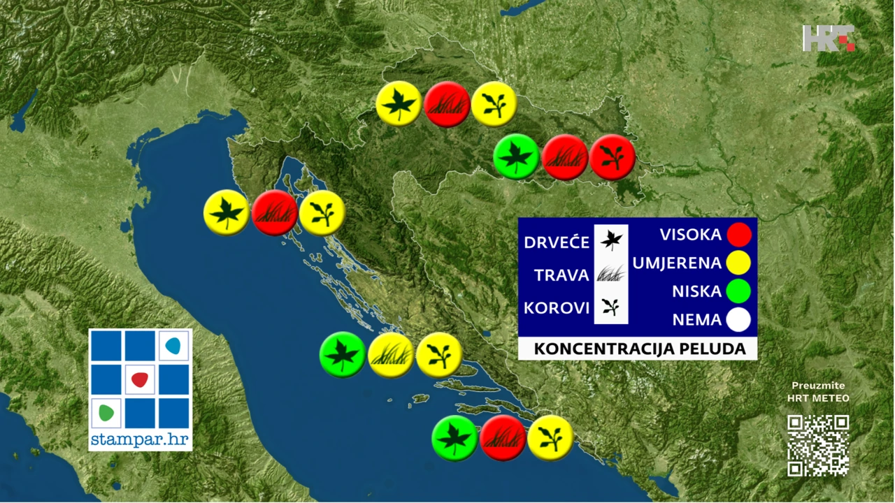prognoza koncentracije peludi za 6. 6. 2025.