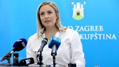 Dina Vasić