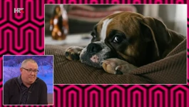 Veterinar Zoran Studak gostovao je u emisiji Kod nas doma