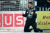 Ivan Pešić, Foto: Sanjin Strukic/PIXSELL