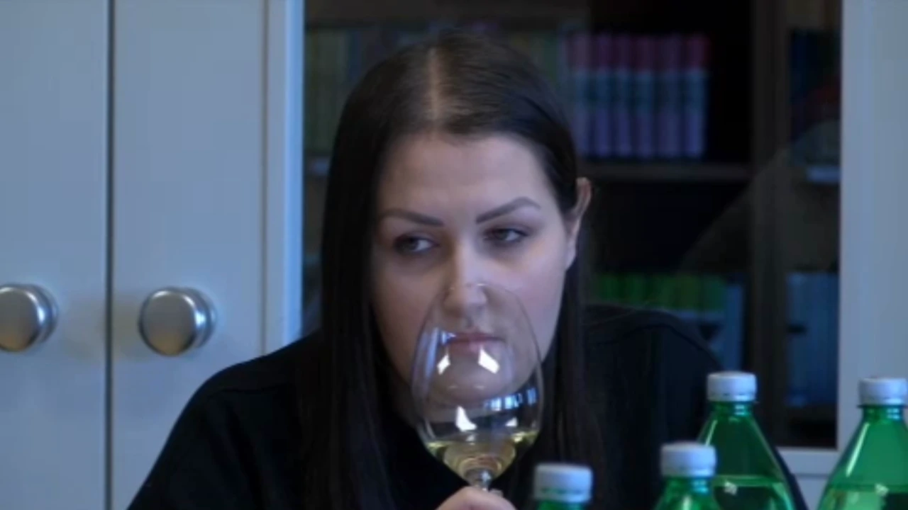 Besplatno osposobljavanje za "specijalist sommelier", Foto: Regionalni dnevnik/HRT