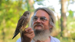 Mario Romulić 