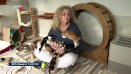 Udomljavanju s ljubavlju