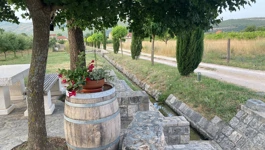 Izvor vode u vinogradima Vizzulin 