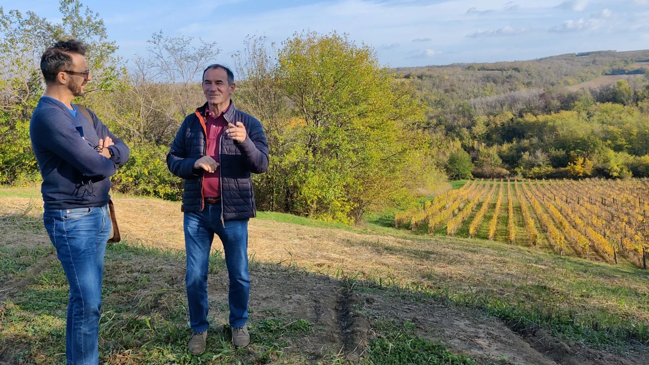 Najistočniji vinograd u Hrvatskoj - Mladen Papak u razgovoru s vašim i našim Draženom
