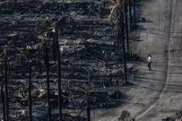 Požari u Kaliforniji, Foto: Carlos Barria/Reuters