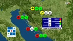 peludna prognoza NZJZ-a, Foto: HRT/HRT