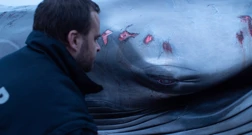 Subota, 13. svibnja na Drugom , Foto: Iz divljeg mora/dokumentarni film 