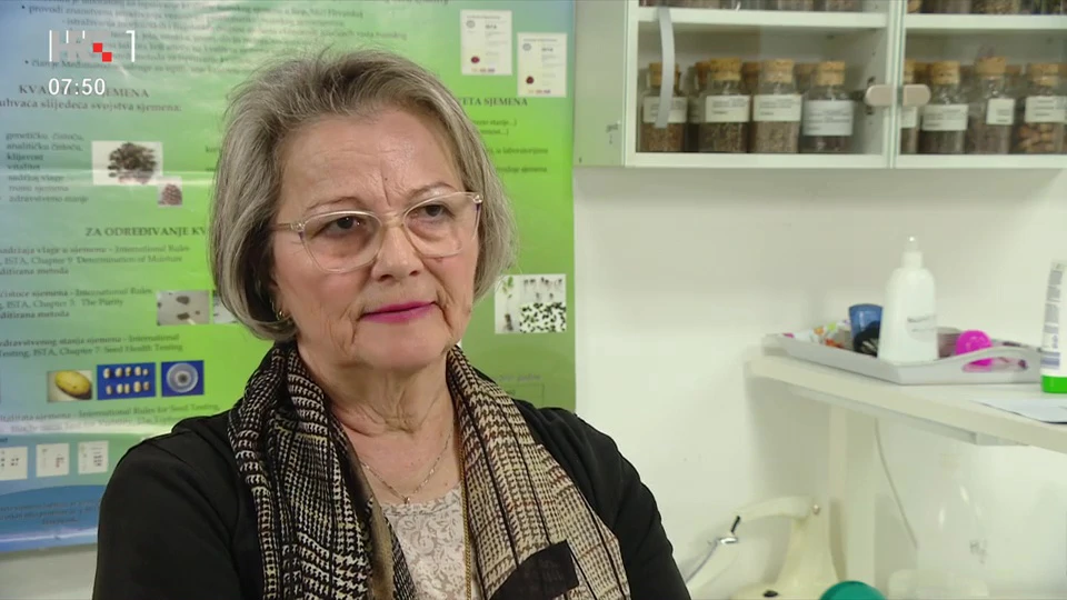 Maja Gradečki - Poštenjak