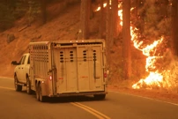 Kalifornija, Foto: David Swanson/Reuters
