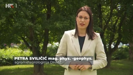 Petra Sviličić