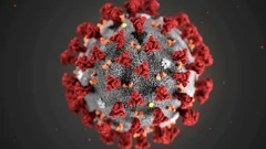 Koronavirus