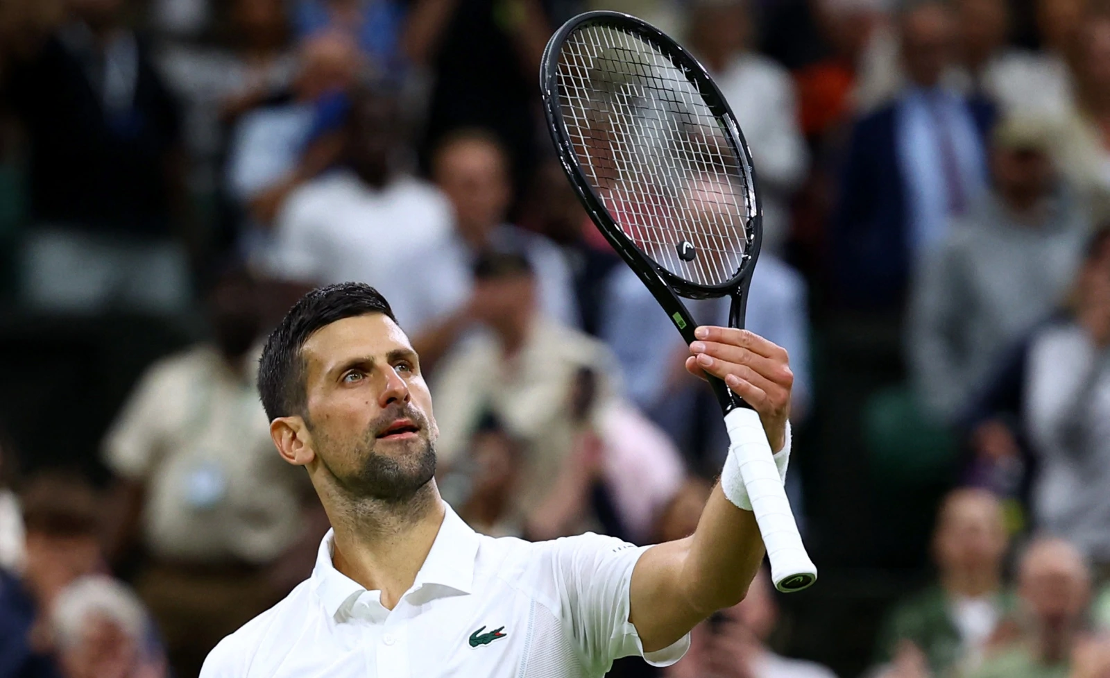 Đoković bez borbe do polufinala nakon predaje De Minaura