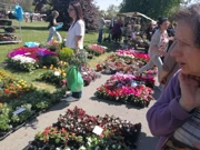 Festival cvijeća i drveća, Foto: HRT/Radio Osijek