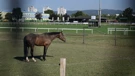 Hipódromo de Zagreb 