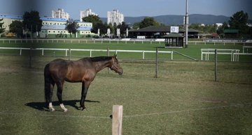 Hipódromo de Zagreb 