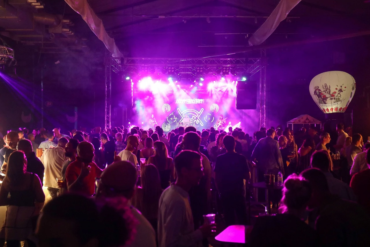 Atmosfera na festivalu, Foto: Matija Habljak/Pixsell