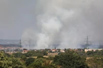 U široj okolici Pule buknuo je požar, Foto: Srecko Niketic/PIXSELL