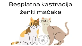 Besplatna kastracija mačaka