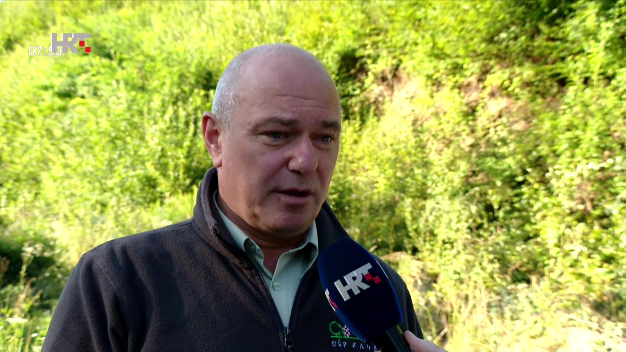 Damir Miškulin