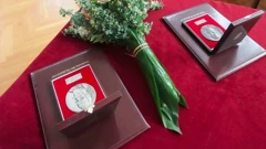 Nagrada Iso Velikanović