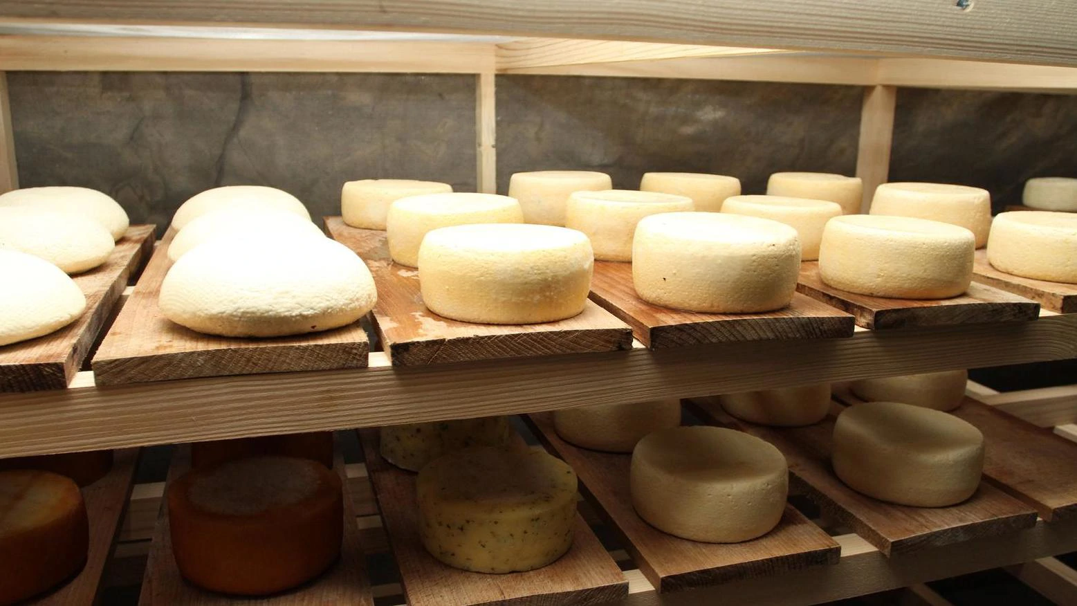 Milijun eura za sufinanciranje nabavke opreme za "mini sirane"