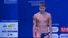 Matej Nevešćanin
