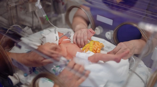 Demografia Ilustracion 