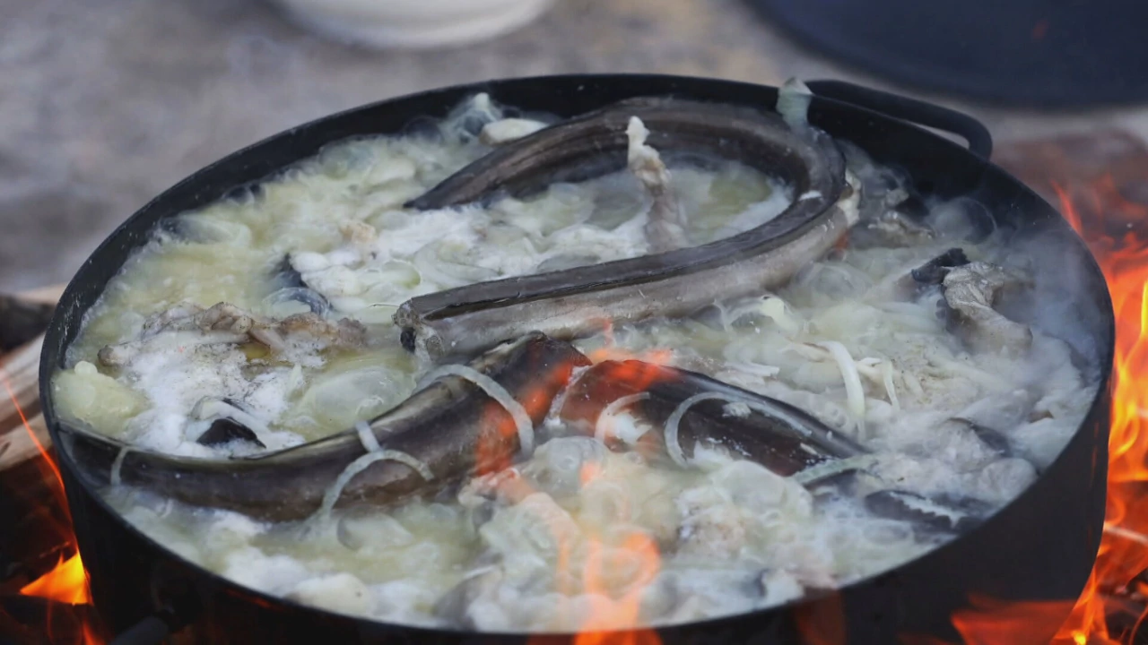 Tunuara, Foto: More/HRT