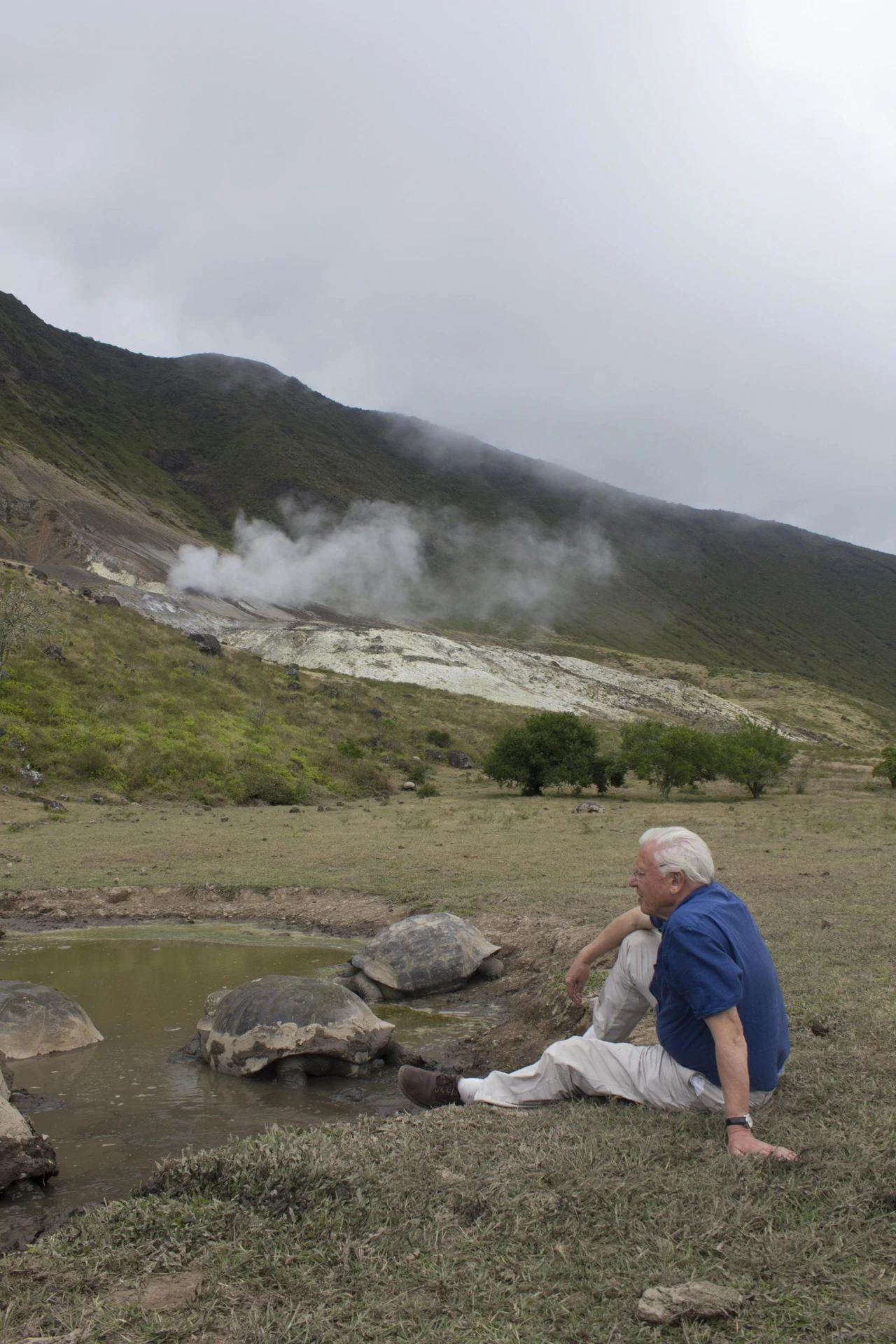 Nedjelja, 22. veljače na Prvom, Foto: Stoljeće legende: Globalna pustolovina Davida Attenborougha/dokumentarna serija