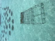 Subota, 15. kolovoza na Prvom , Foto: Bora Bora: Laboratorij budućnosti/dokumentarni film 