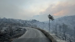Opožareno područje Parka prirode Biokovo, Foto: Ivo Cagalj/Pixsell