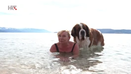  Željka Jurčić Kleković