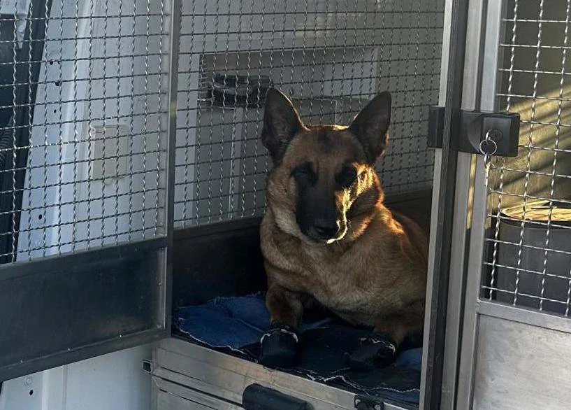 Srijeda, 25. ožujka na Prvom