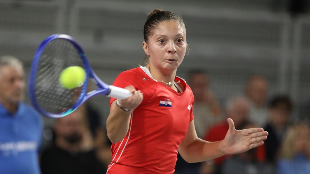 ruzich1 20260223085355