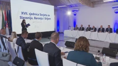 17. sjednica Savjeta za Slavoniju, Baranju i Srijem 