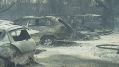 Požar kod Grebaštice, Foto: HTV/HRT