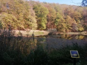 Park šuma Jankovac, Foto: -/-
